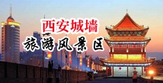 肏外国金发骚逼毛片中国陕西-西安城墙旅游风景区
