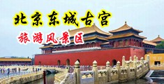 非洲黑人一级黄色日屌屌视频中国北京-东城古宫旅游风景区